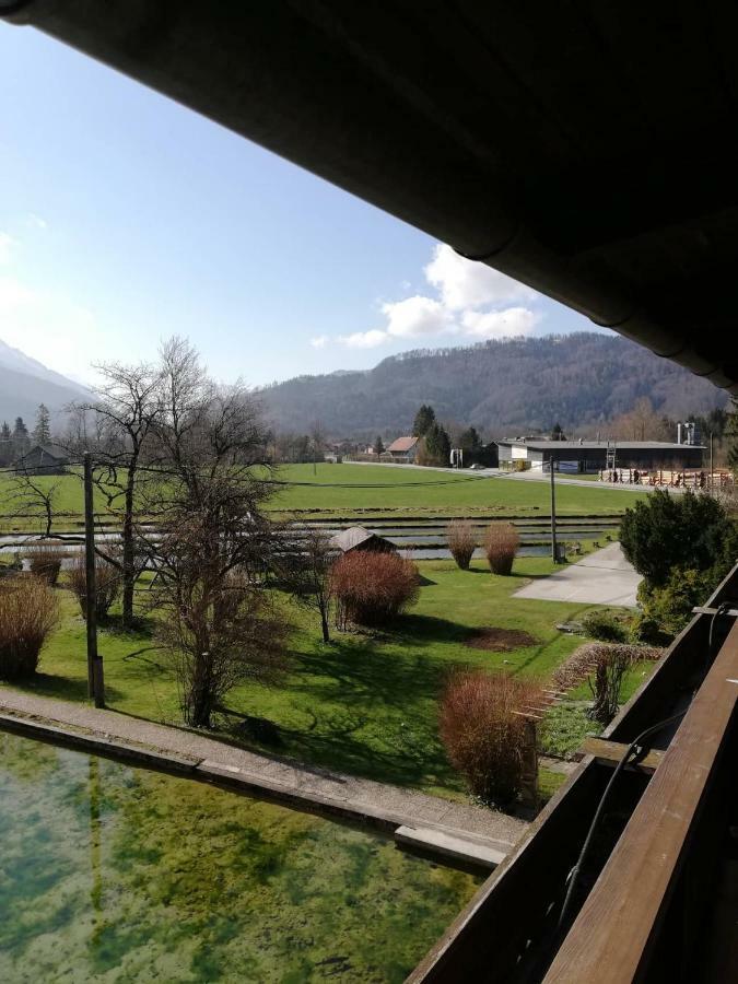 Wieselmuehle Forellenhof Grünau im Almtal Exteriér fotografie