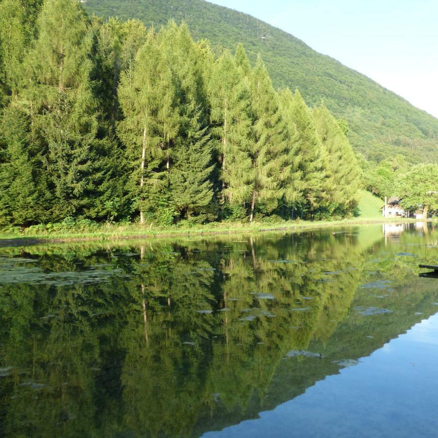 Wieselmuehle Forellenhof Grünau im Almtal Exteriér fotografie