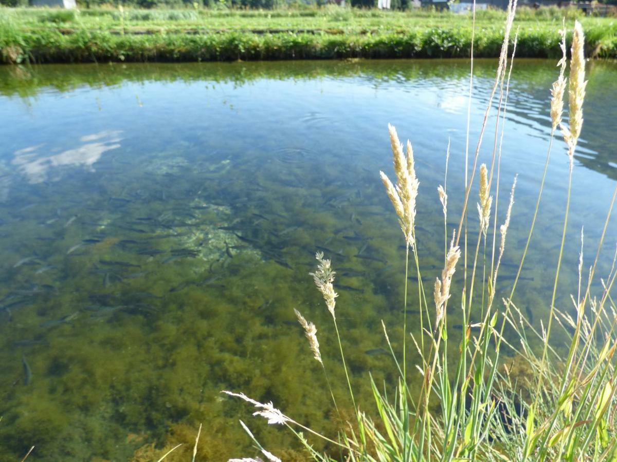Wieselmuehle Forellenhof Grünau im Almtal Exteriér fotografie